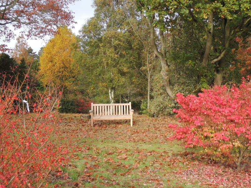 The Place for Plants, East Bergholt Place Garden